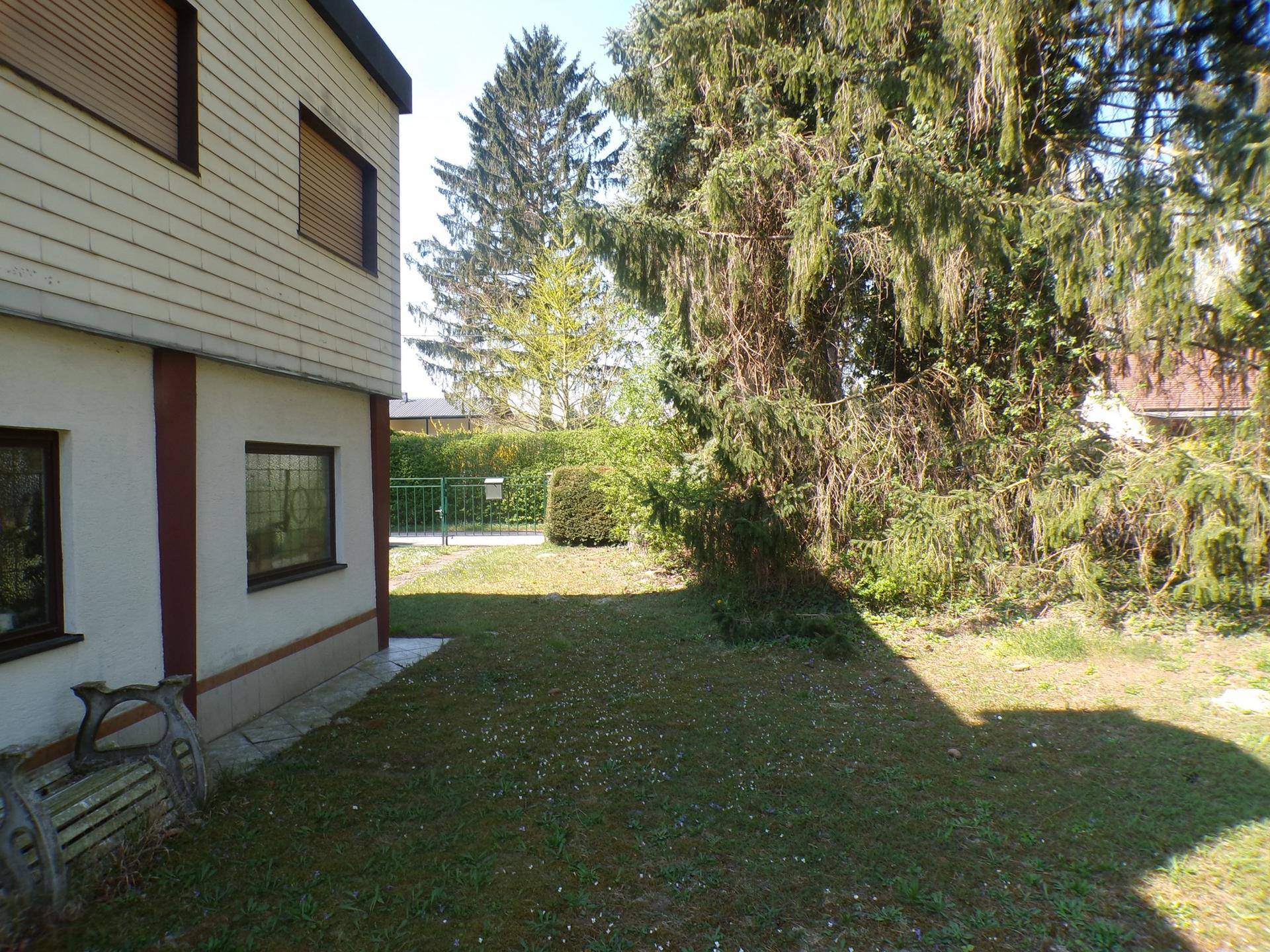 Gartenhaus neben Donau auf Eigengrund in Langenlebarn nähe Tulln - Ansicht 5