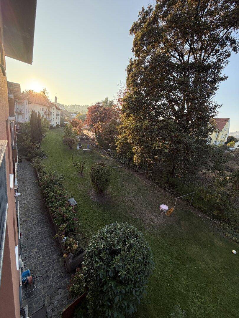 Langer, abfallender Garten mit Bäumen und Häusern im Hintergrund bei Sonnenuntergang.