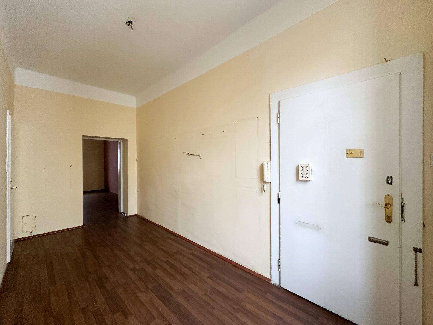 Eingangsbereich mit Laminatboden, Gegensprechanlage und Sicherheitstür.