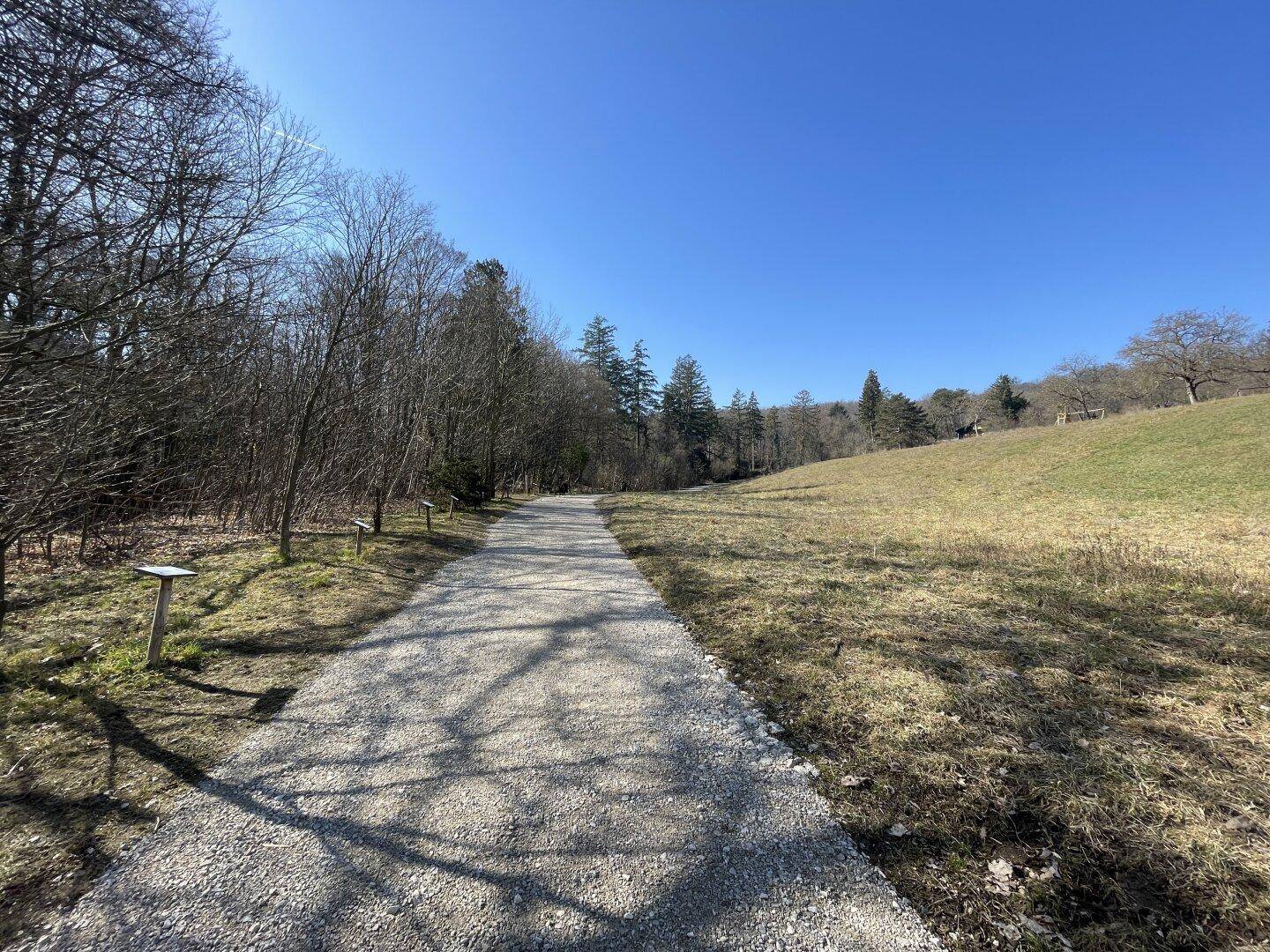 Kiesweg führt durch eine natürliche Landschaft mit Bäumen und Wiesen.