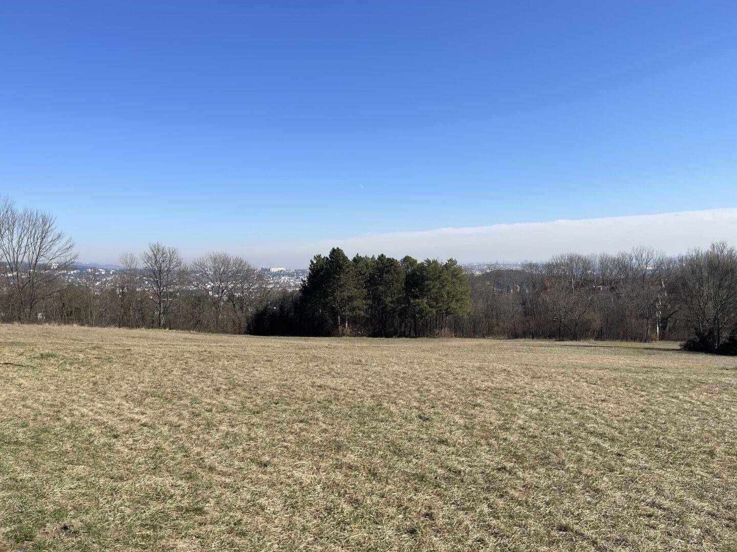 Weitläufige Wiesenlandschaft unter blauem Himmel mit Blick in die Ferne.