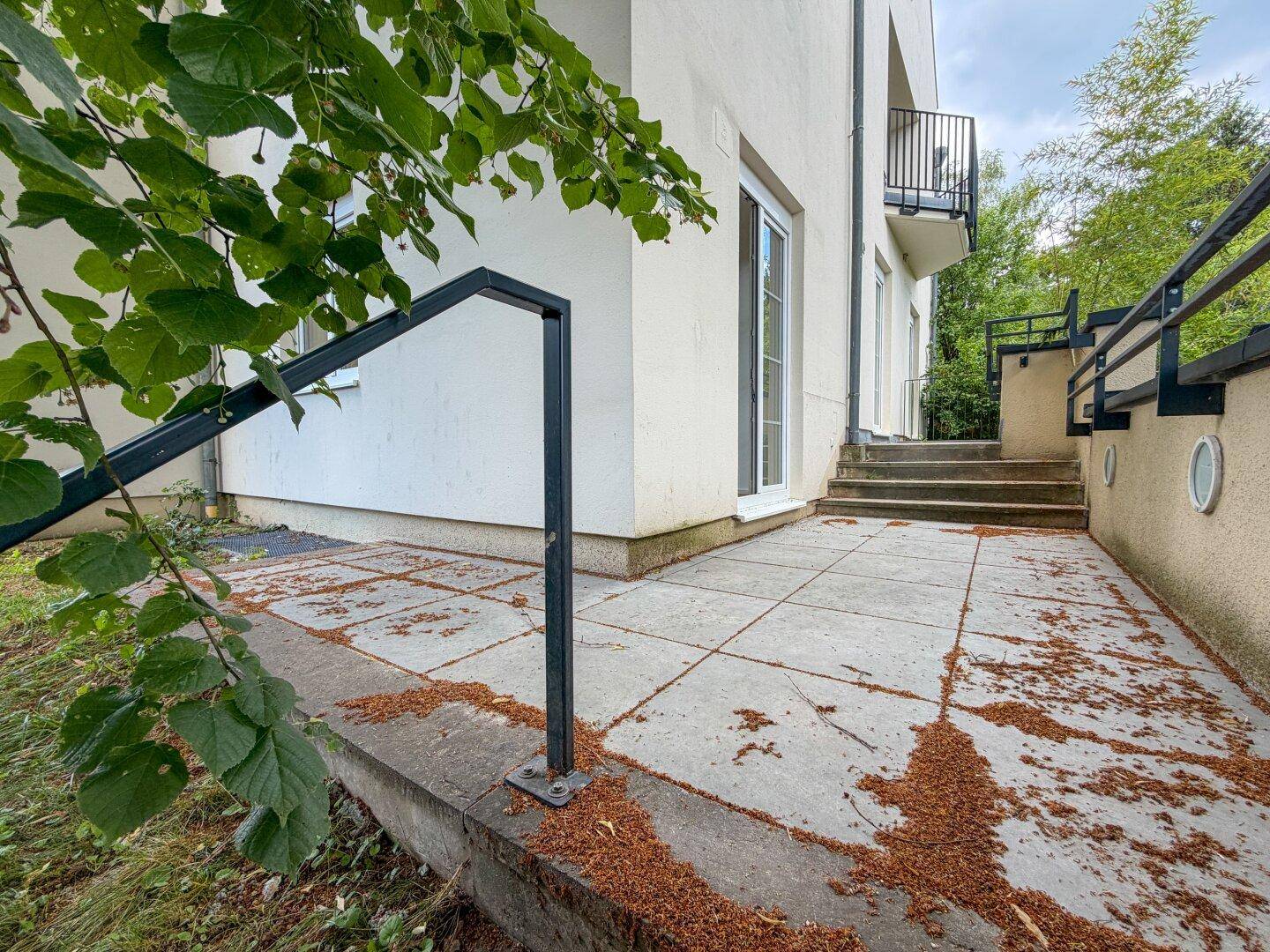 Ebenerdige Terrasse mit Steinplatten und Treppe, umgeben von Bäumen und Grünflächen.