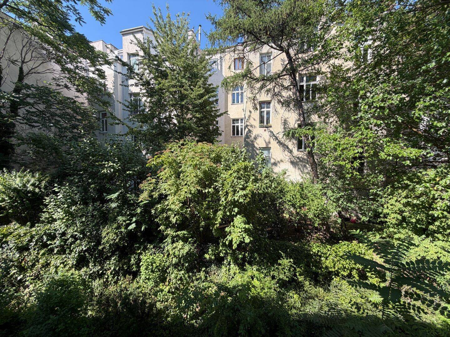 Grüner Innenhof mit altem Baumbestand und Blick auf die umliegenden Gebäude.