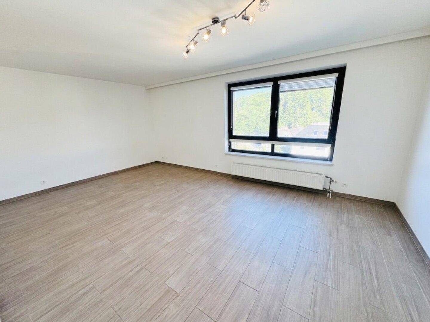 Heller, leerer Raum mit modernem Laminatboden und großem Fenster.