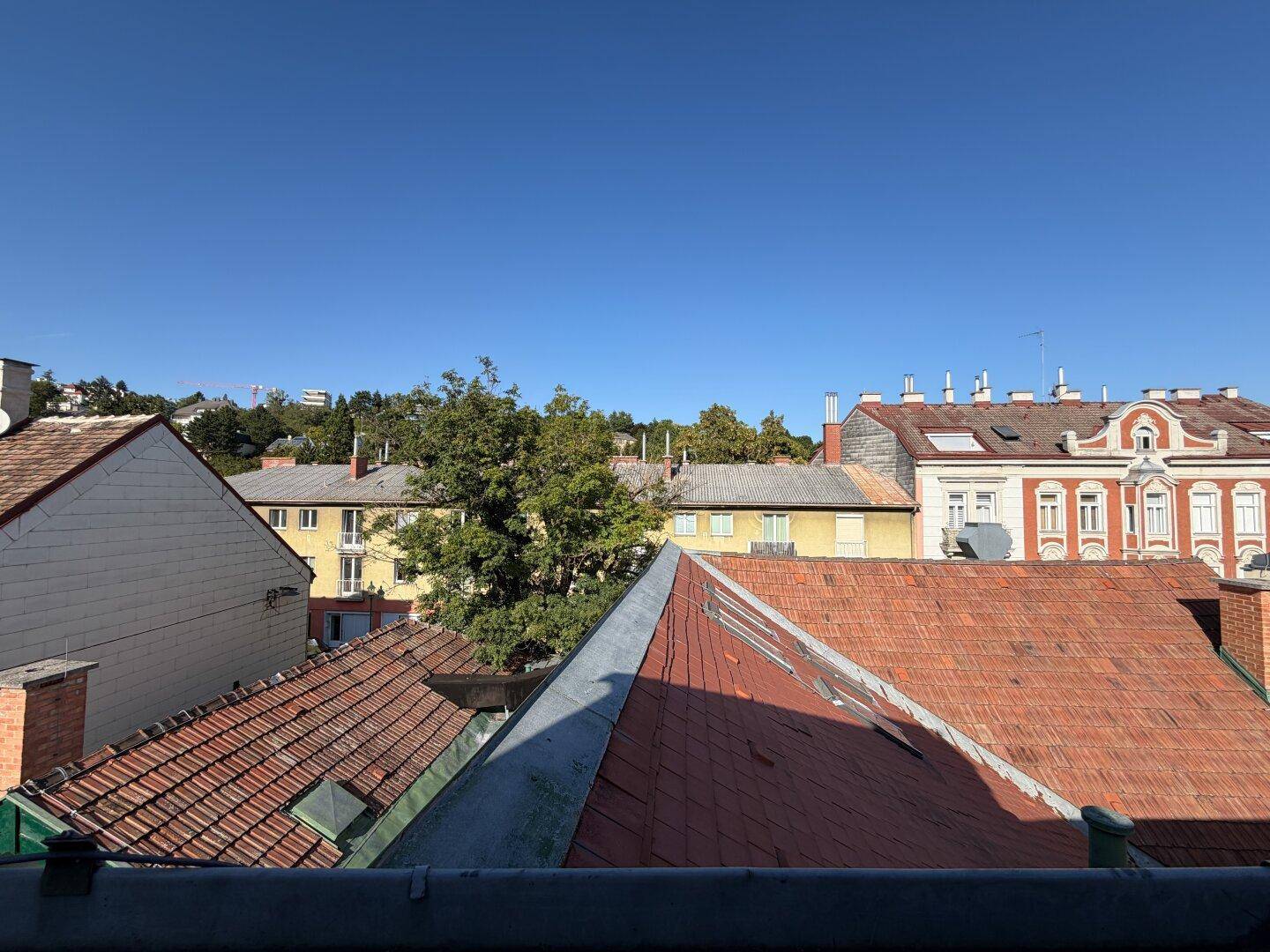 Weitblick über die Dächer der Stadt und grüne Baumwipfel unter blauem Himmel.