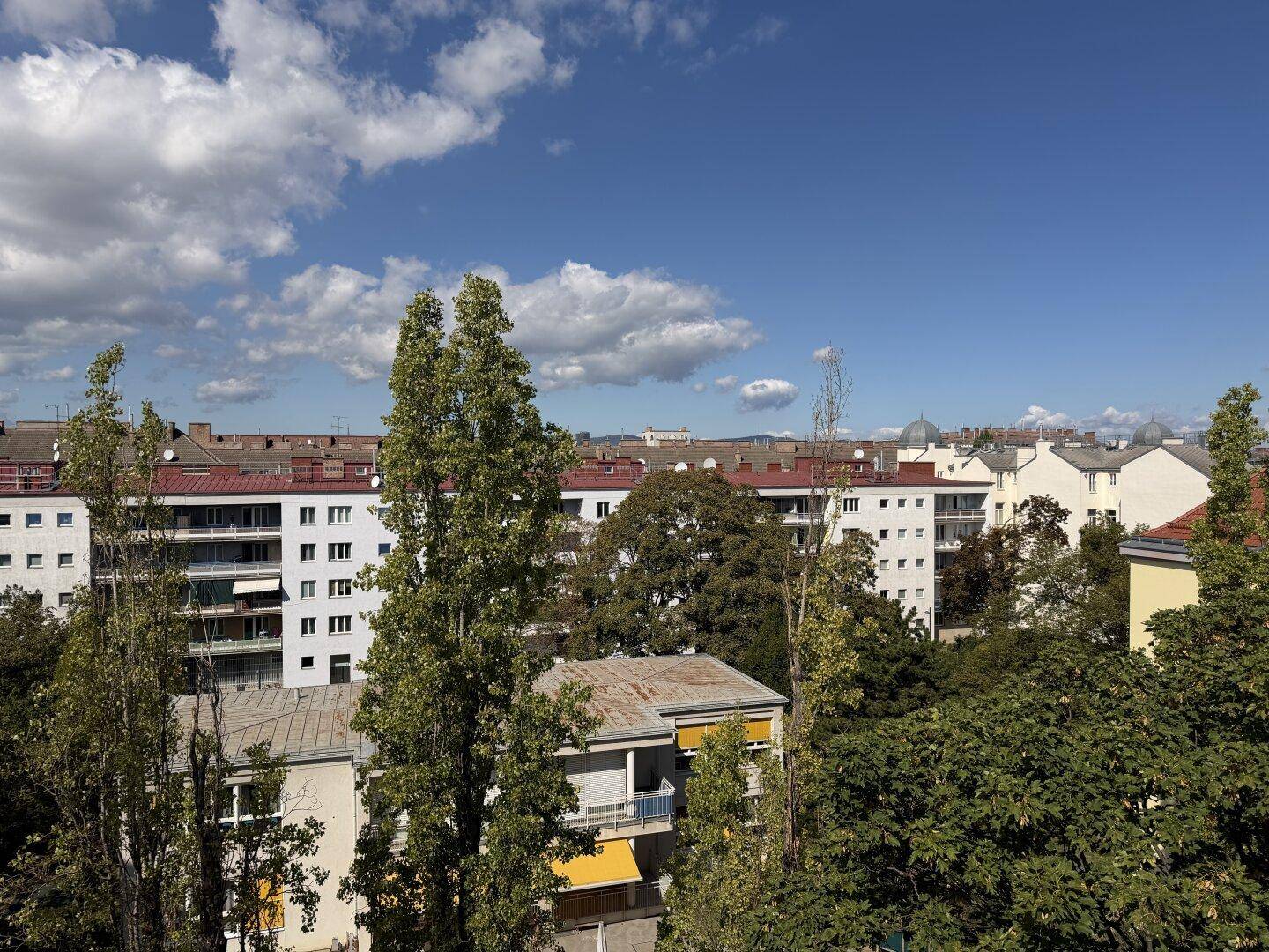 Weitblick über eine städtische Wohngegend mit viel Grün und klarem blauem Himmel.