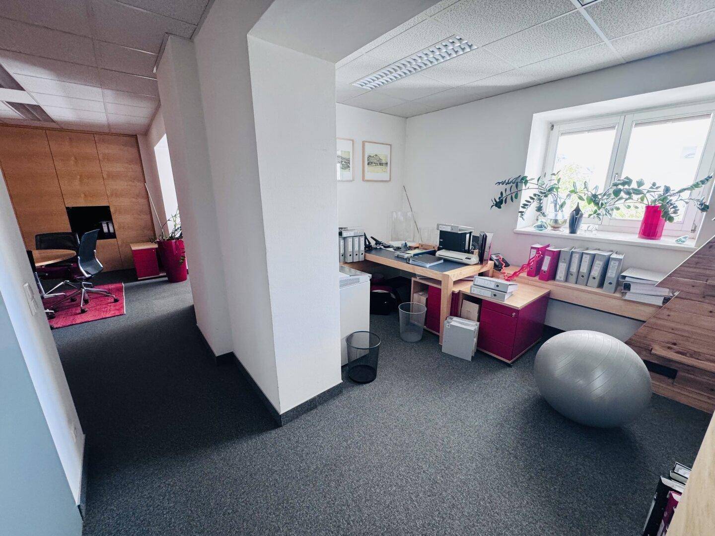 Ein helles Büro mit Teppichboden, Schreibtischen und einem Fenster mit Blick nach draußen.
