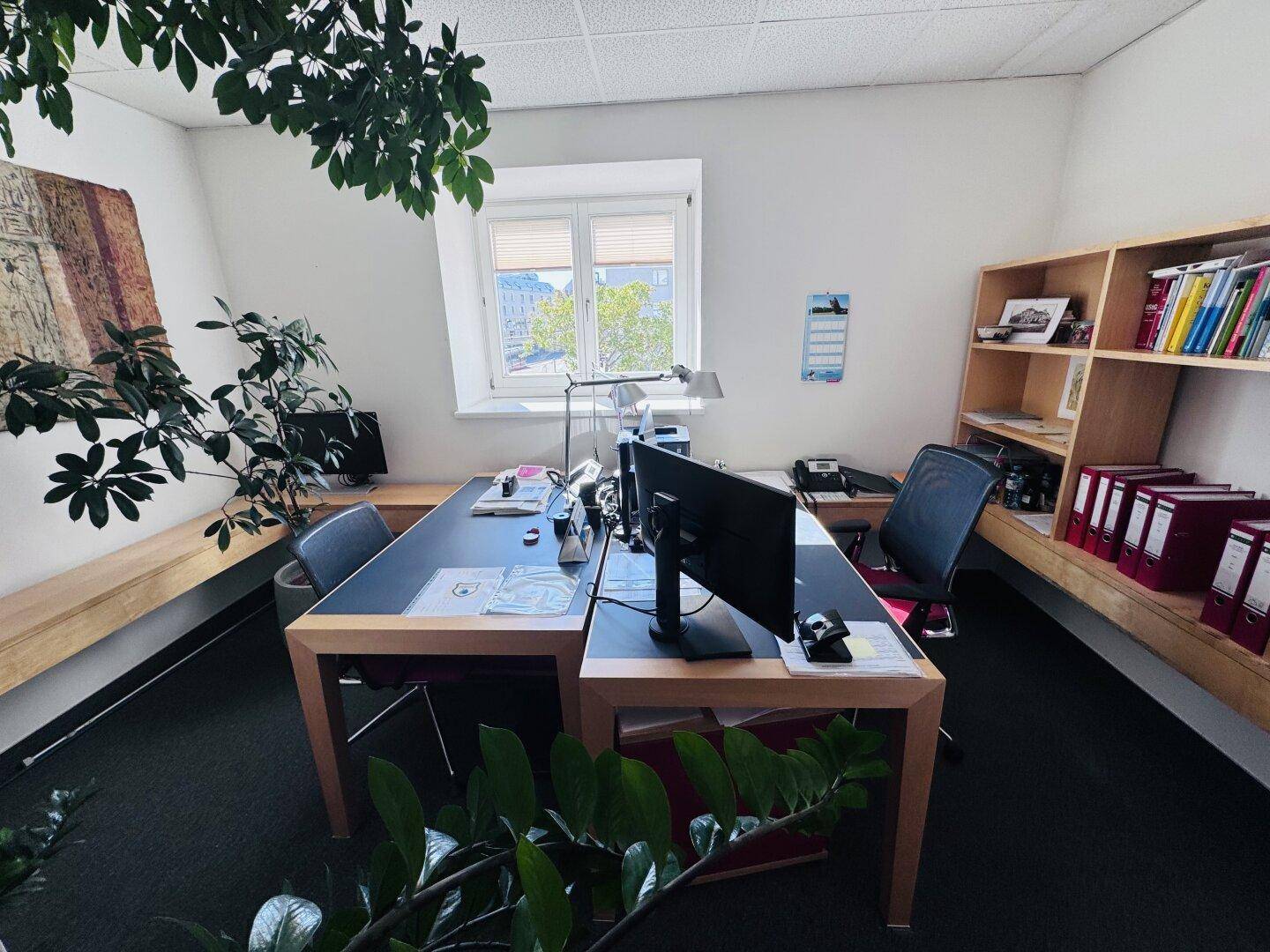 Ein weiteres Büro mit Schreibtischen, Pflanzen und einem Bücherregal, das viel Stauraum bietet.