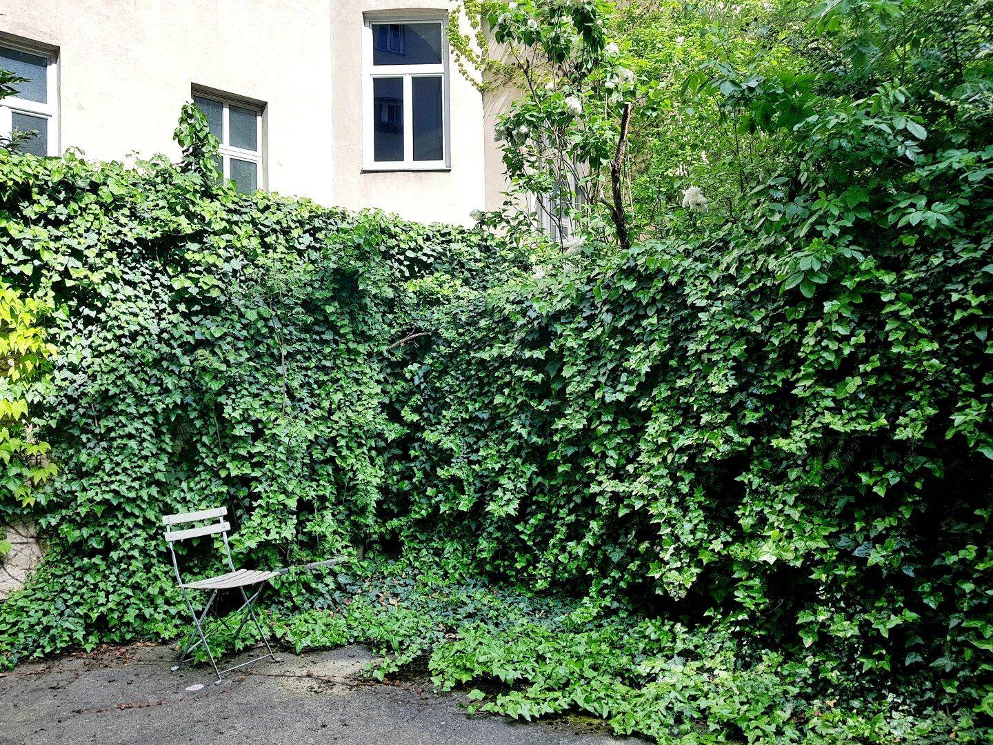 Umgebung