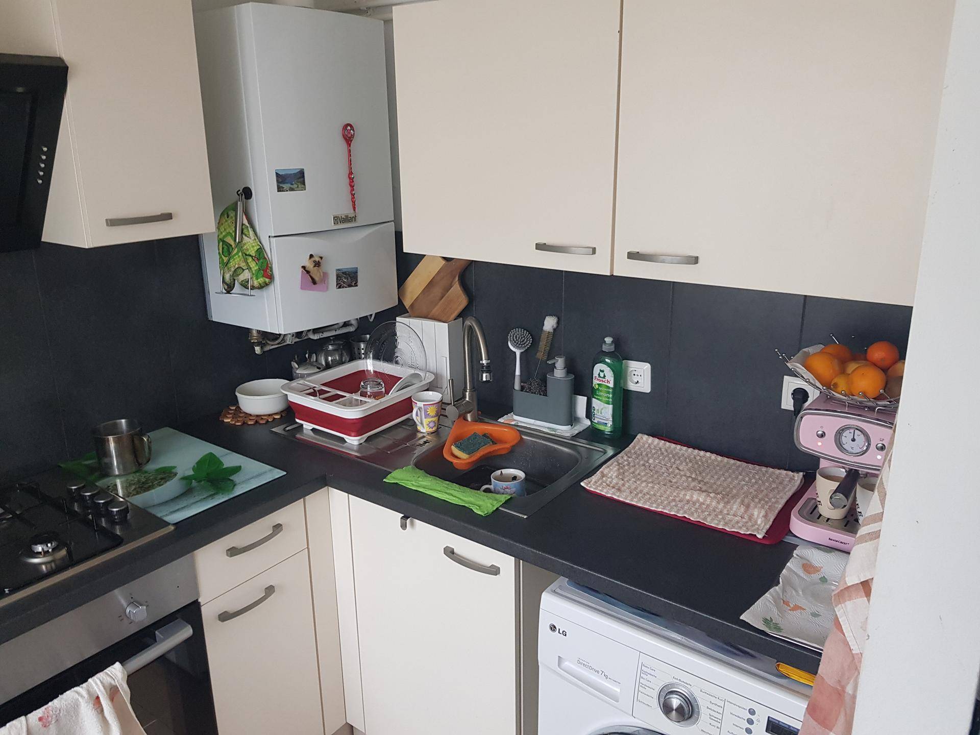 Küchenzeile mit Spülbecken, Boiler und integrierter Waschmaschine unter der Arbeitsplatte.