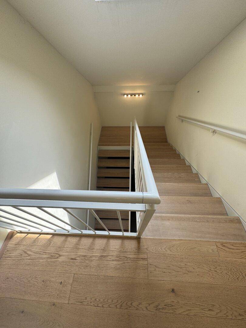 Helles Treppenhaus mit Holzstufen und weißem Geländer, das nach unten führt.