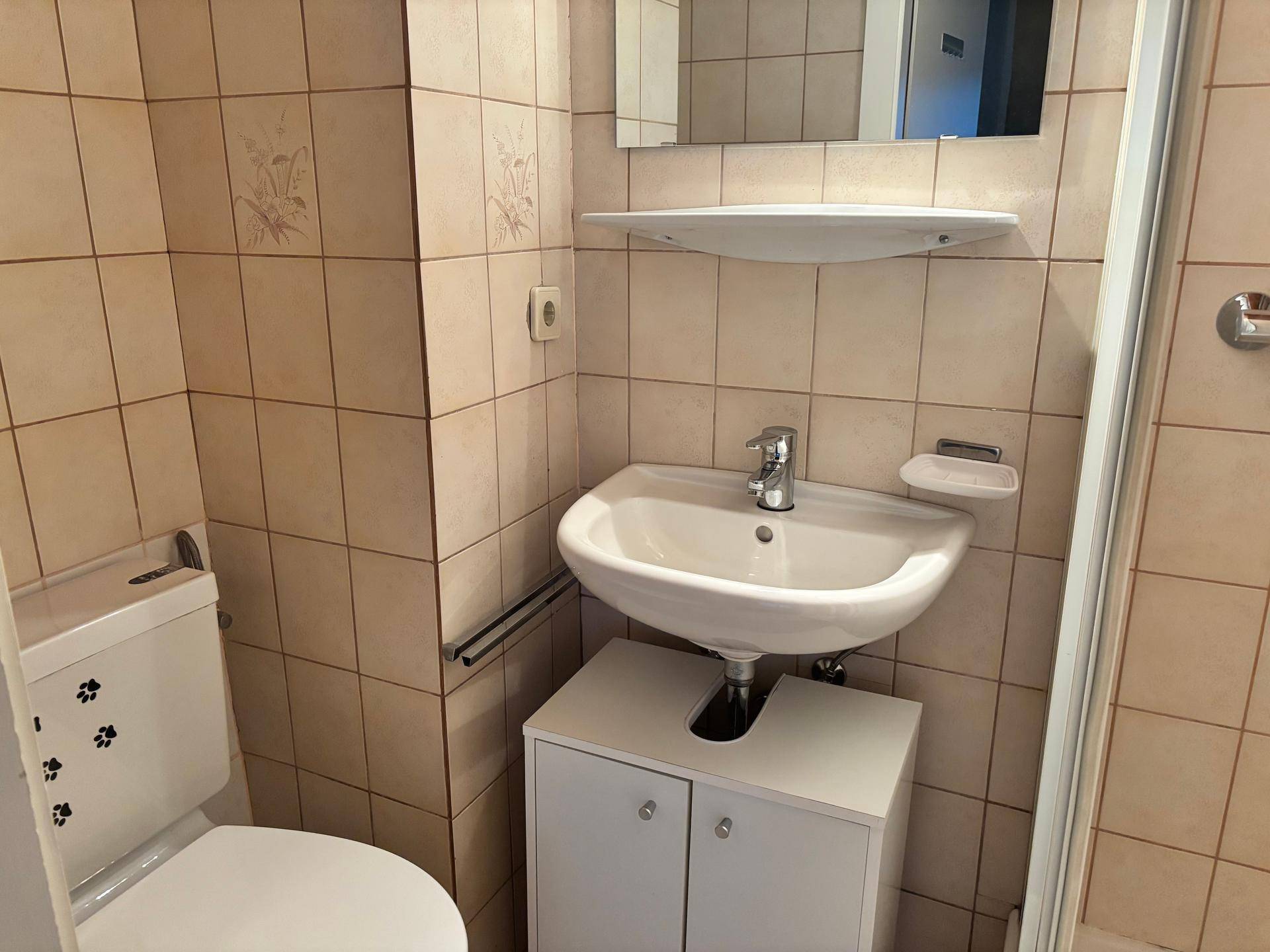 Gefliestes Badezimmer mit Dusche, WC, Waschbecken und Spiegelschrank.