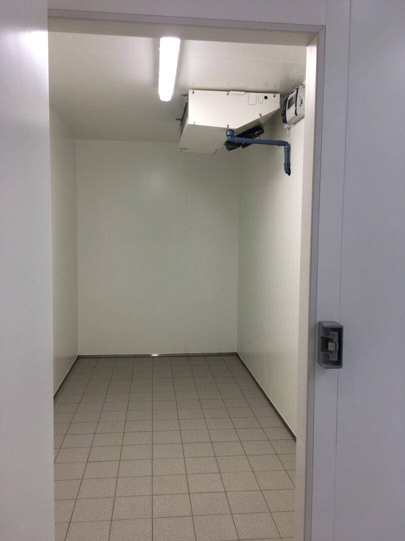Leerer Lagerraum mit Fliesenboden und Deckenkühlung, bereit für die Nutzung.