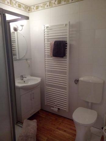 Modernes Badezimmer mit Duschkabine, WC, Waschbecken und beheiztem Handtuchhalter.