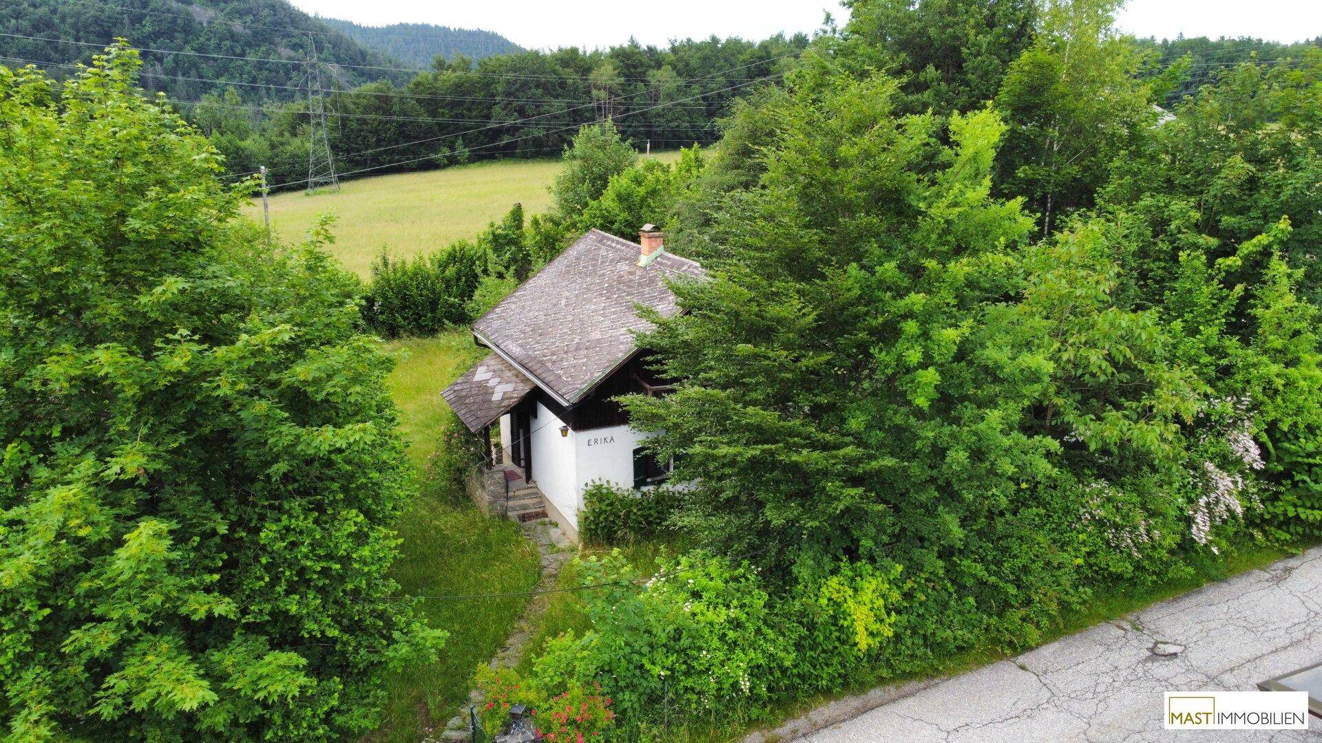 Vogelperspektive des Hauses, eingebettet in grüne Bäume und Sträucher, mit angrenzender Straße.