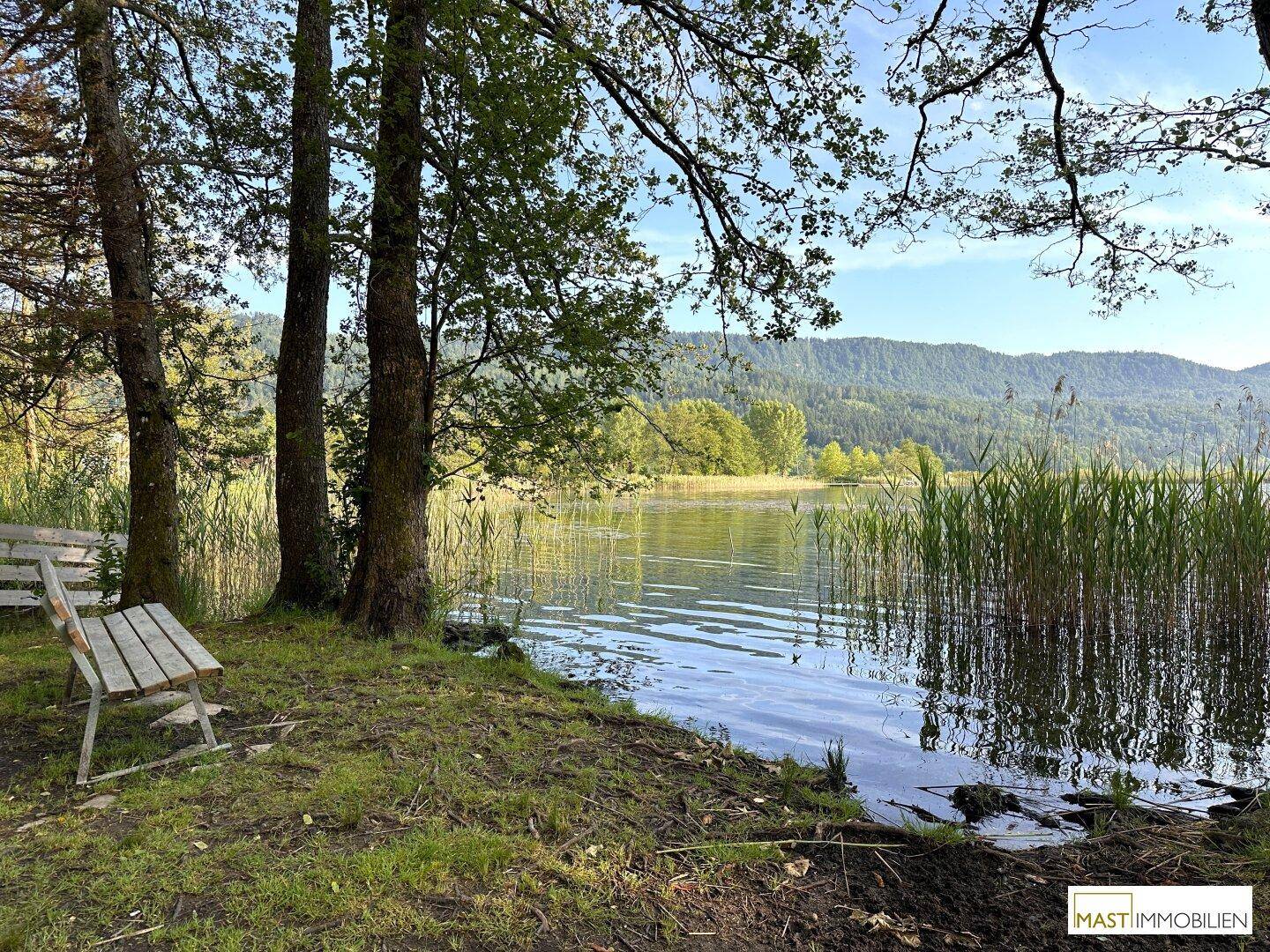 Idyllisches Seeufer mit Sitzbank, Schilf und Bäumen, umgeben von einer malerischen Berglandschaft.
