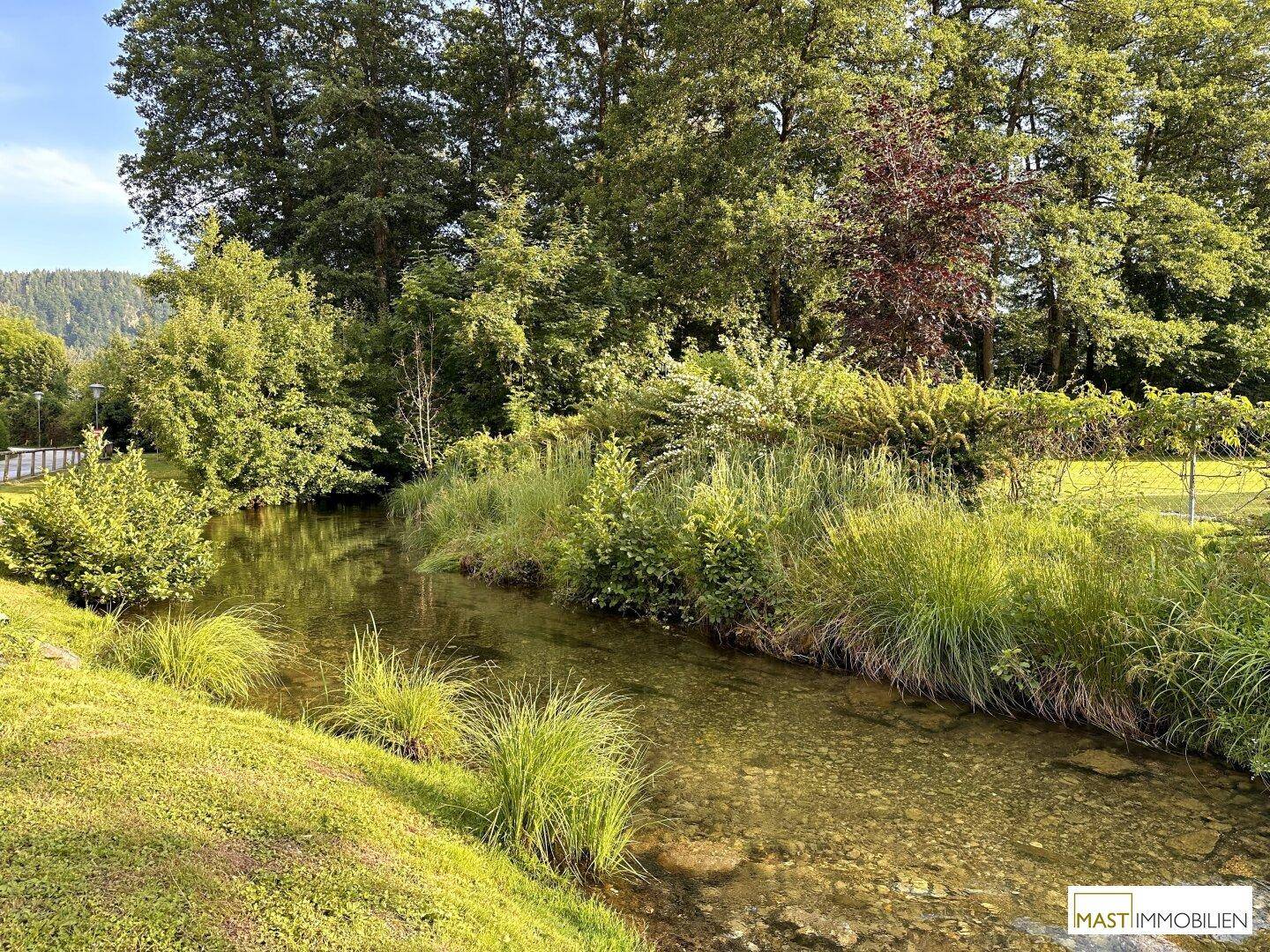 Klarer Bachlauf umgeben von üppigem Grün und Bäumen, in einer ruhigen Naturlandschaft.