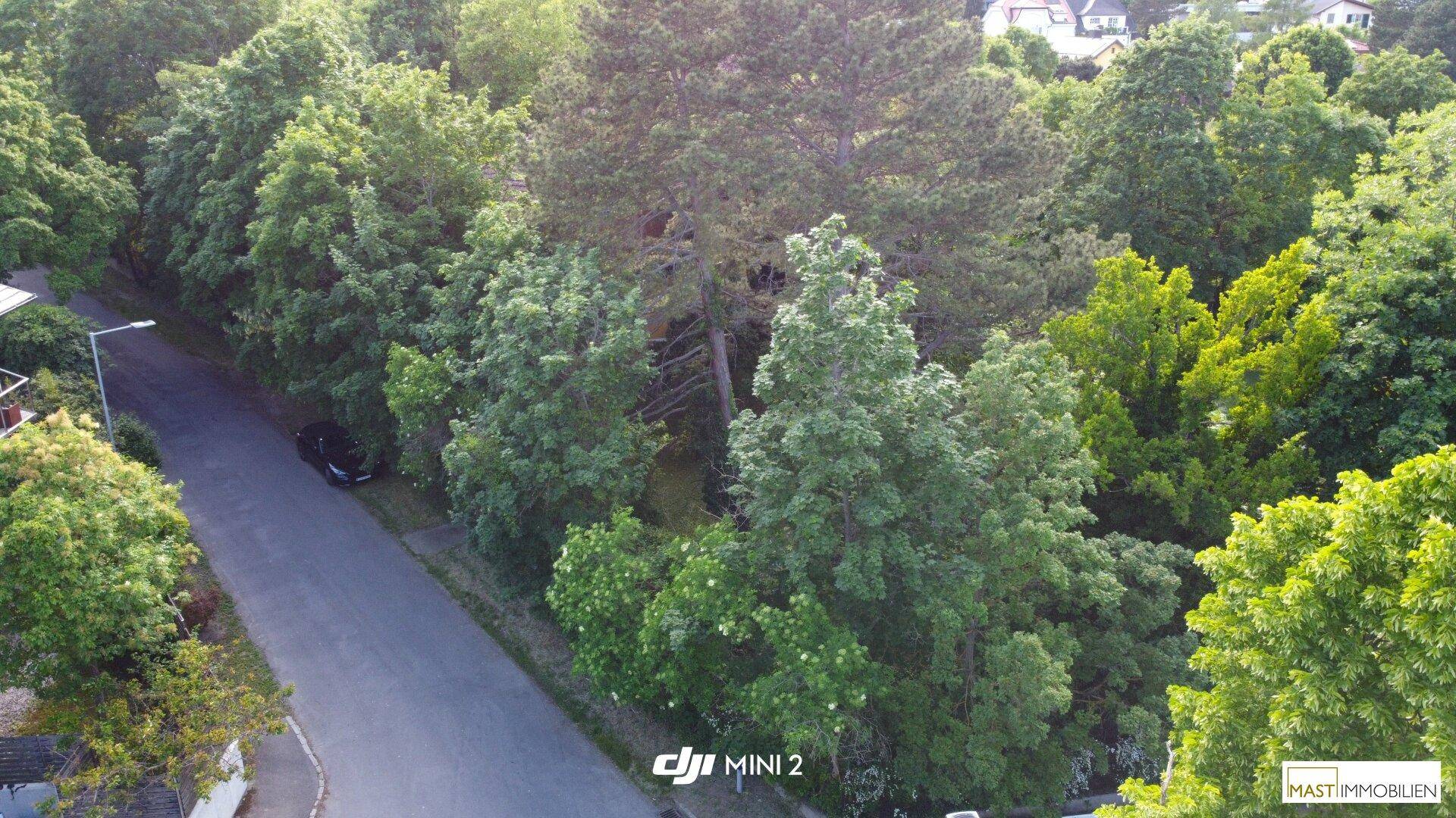 Weitläufige Luftaufnahme einer ruhigen Wohngegend mit vielen Bäumen und einer Straße.