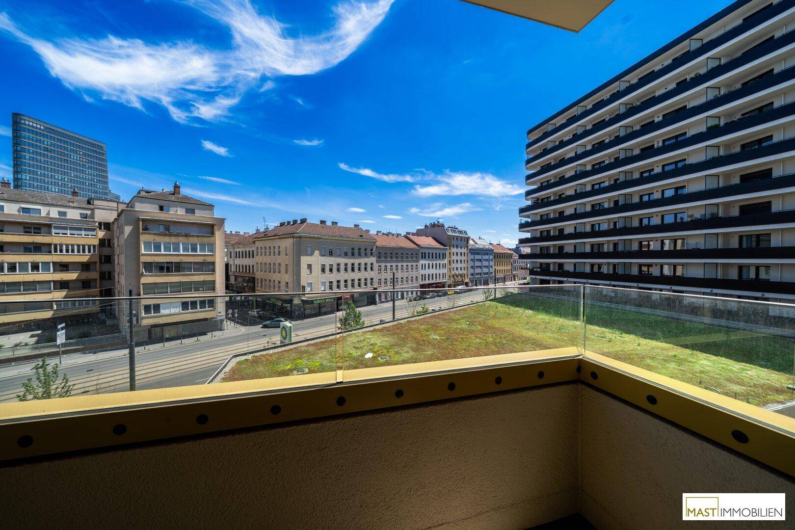 Breiter Balkon mit Panoramablick auf die Stadt und eine begrünte Fläche.