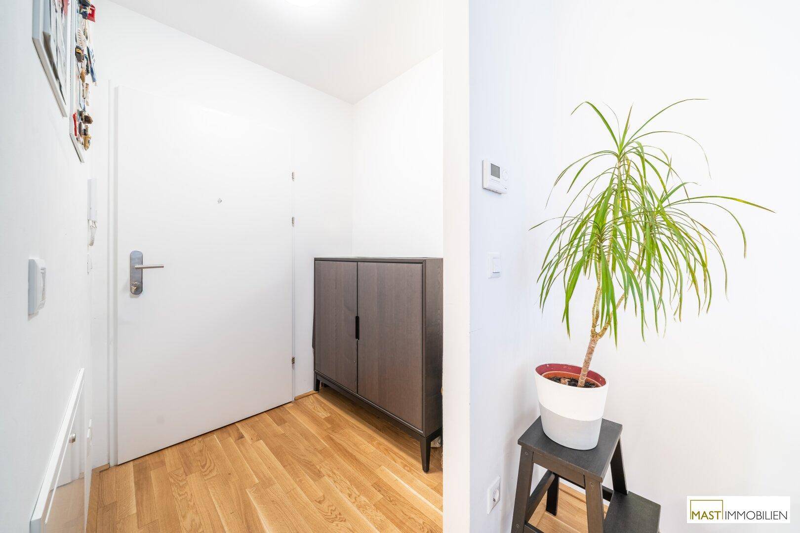 Heller Eingangsbereich mit Holzboden, Garderobenschrank und Topfpflanze.