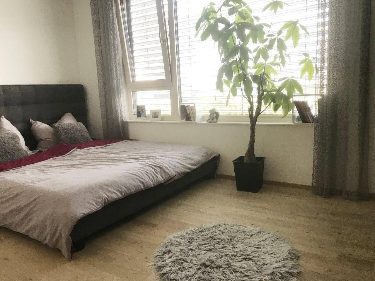 Gemütliches Schlafzimmer mit Holzboden, großem Fenster und Pflanzen.
