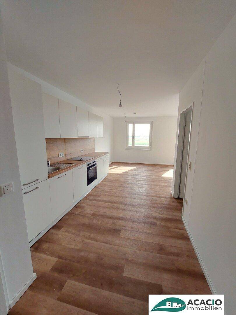 helle 4-Zimmerwohnung / Neubau / topmodern / Erstbezug - Ihr Wohn(t)raum im Tullnerfeld - Tiefgarage vorhanden! - Ansicht 3