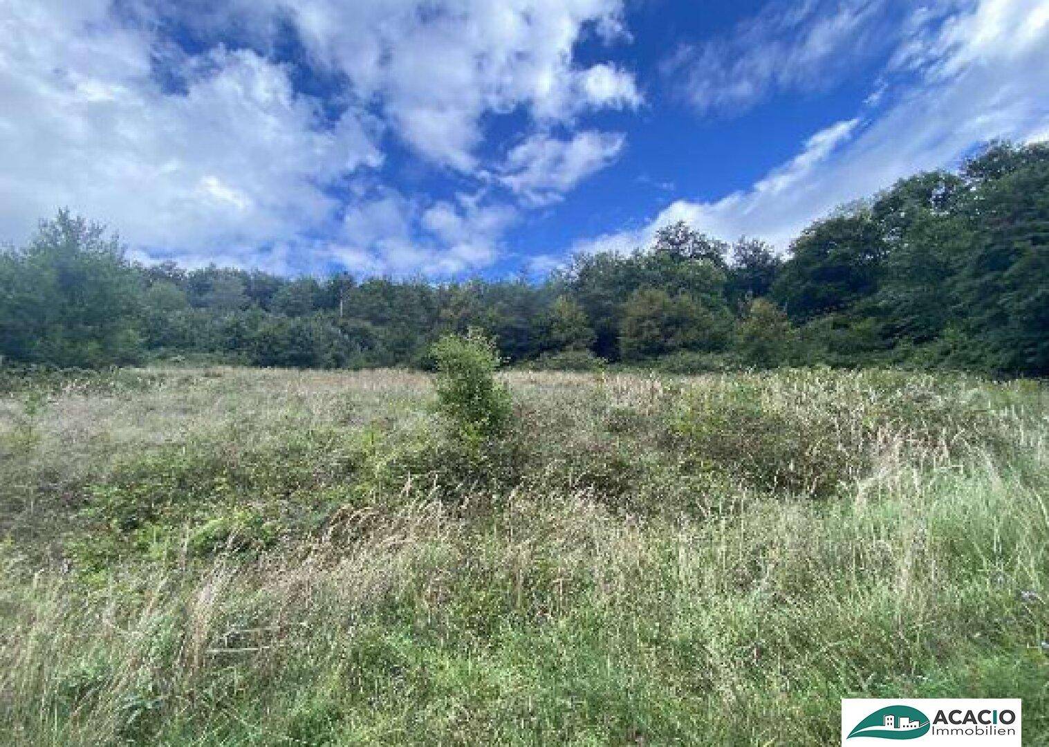 Waldsiedlung Nest - Premiumgrundstück 890 m² - Ansicht 4