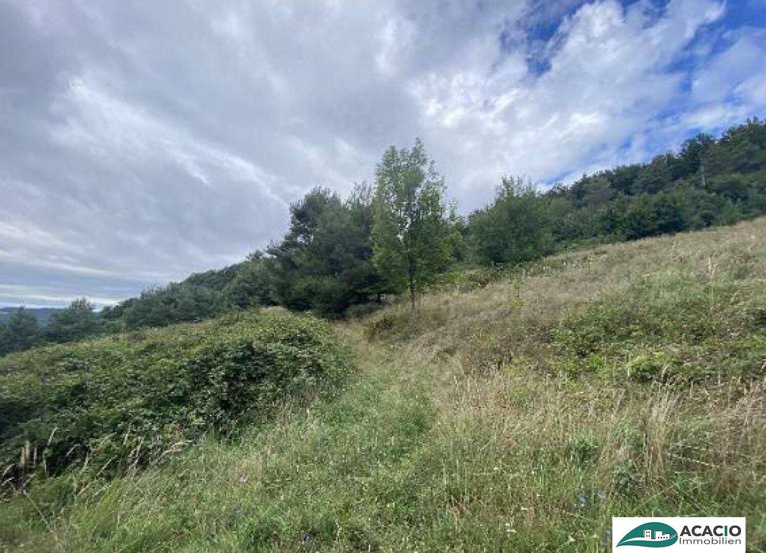 Waldsiedlung Nest - Premiumgrundstück 890 m² - Ansicht 5