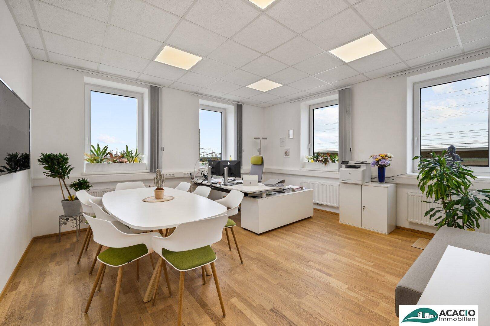 Helles Büro mit mehreren Fenstern, Schreibtisch und Besprechungstisch, dekoriert mit Pflanzen.