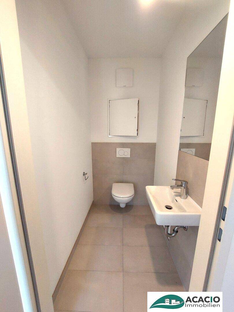 Separates Gäste-WC mit Wand-WC, kleinem Waschbecken und modernen Fliesen.