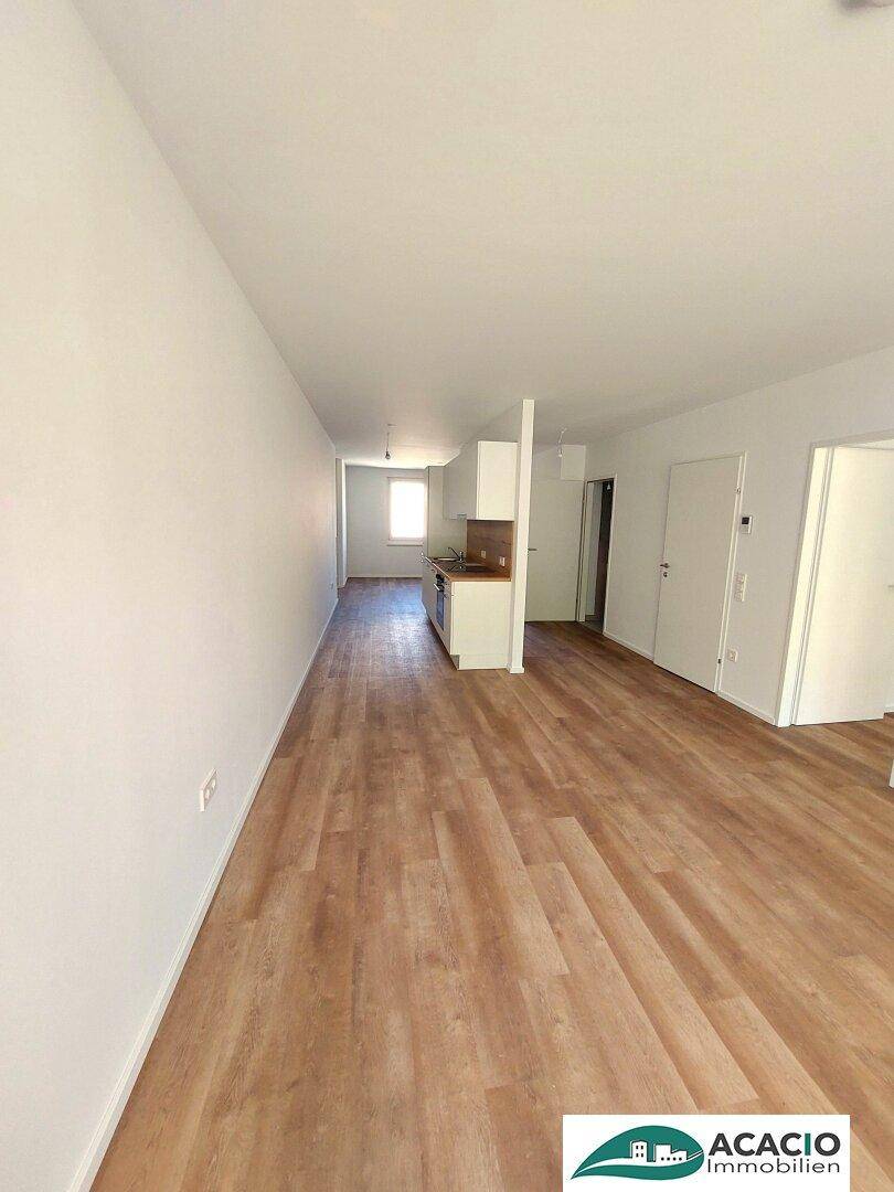 Geräumiger offener Wohnbereich mit Laminatboden und Blick auf die integrierte Küchenzeile.