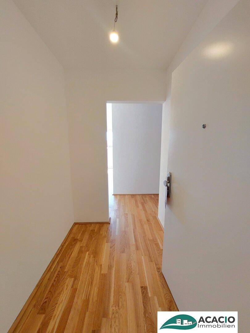 Eingangsbereich mit Holzboden und weiß gestrichenen Wänden.