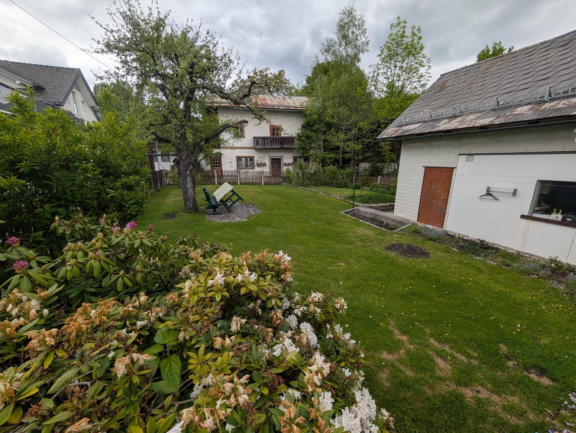 Großer grüner Garten mit altem Baum, Rasenfläche und Blick auf weitere Häuser.