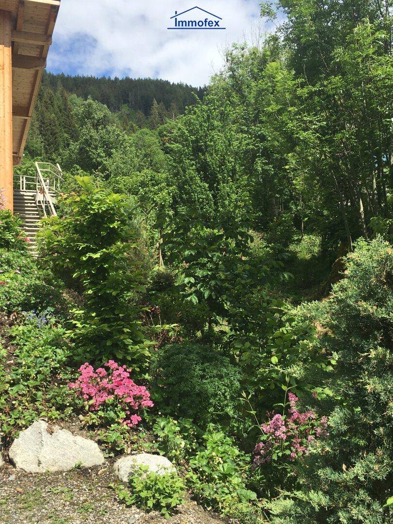 Dichter, grüner Gartenbereich mit hohen Bäumen und Sträuchern, der eine natürliche Umgebung schafft.