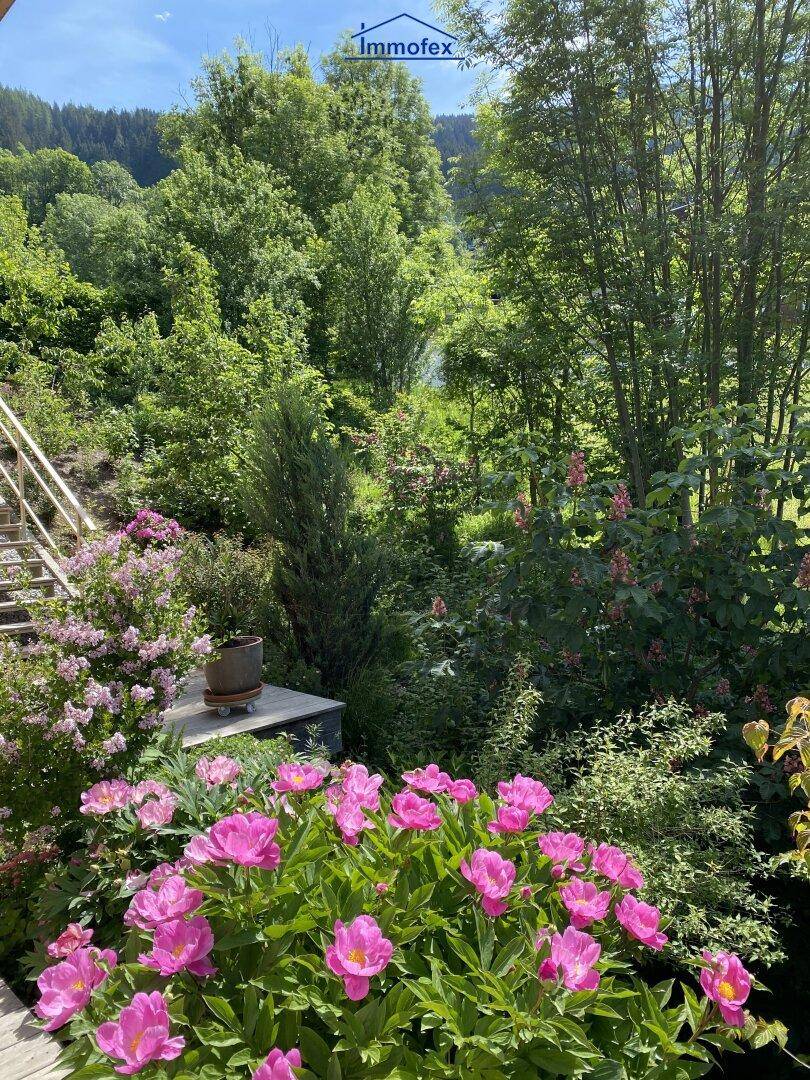Farbenfroher Garten mit leuchtend rosa Blüten und üppigem Grün, umgeben von hohen Bäumen.
