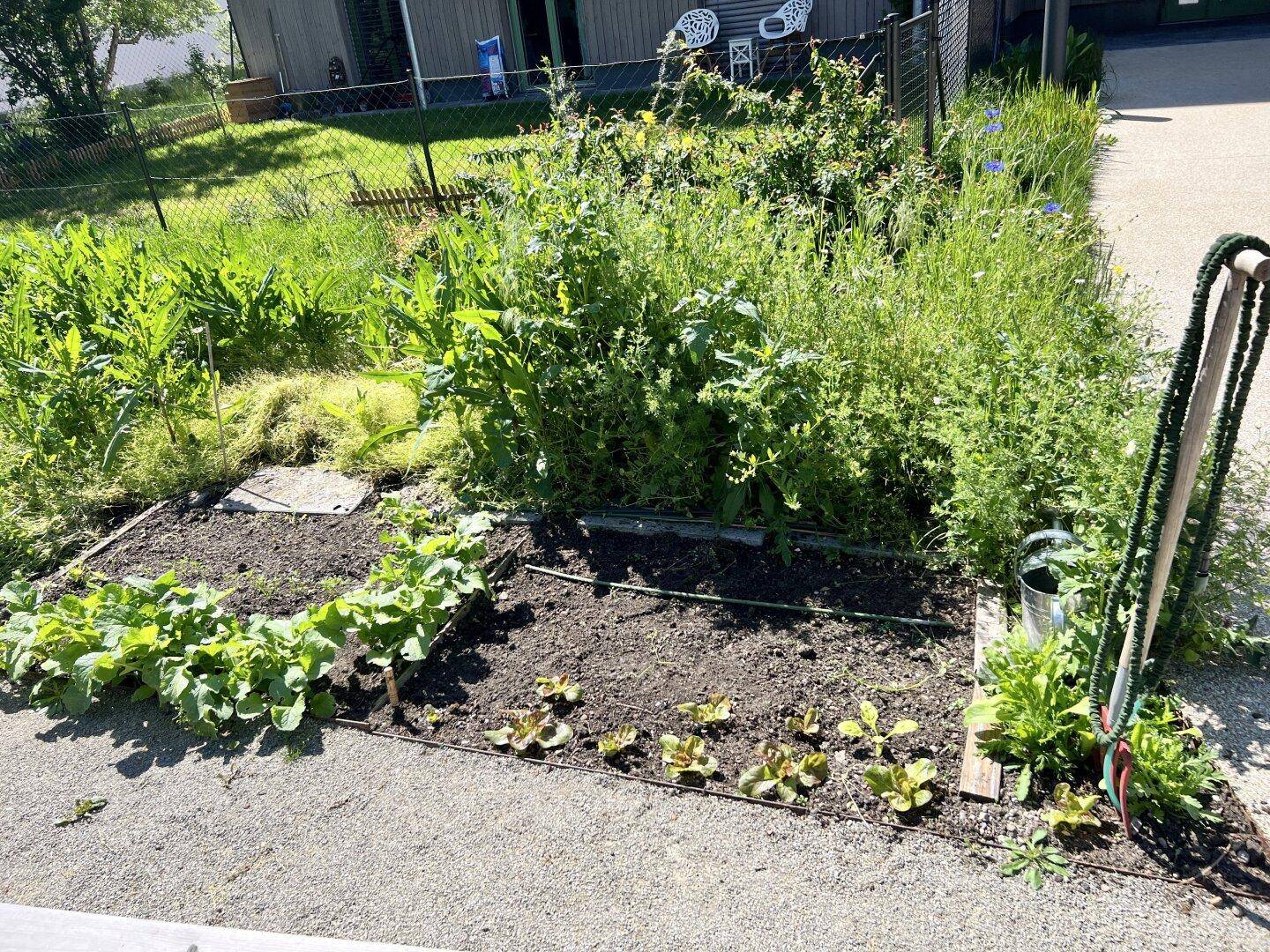 Gartenabteil zum "Garteln"