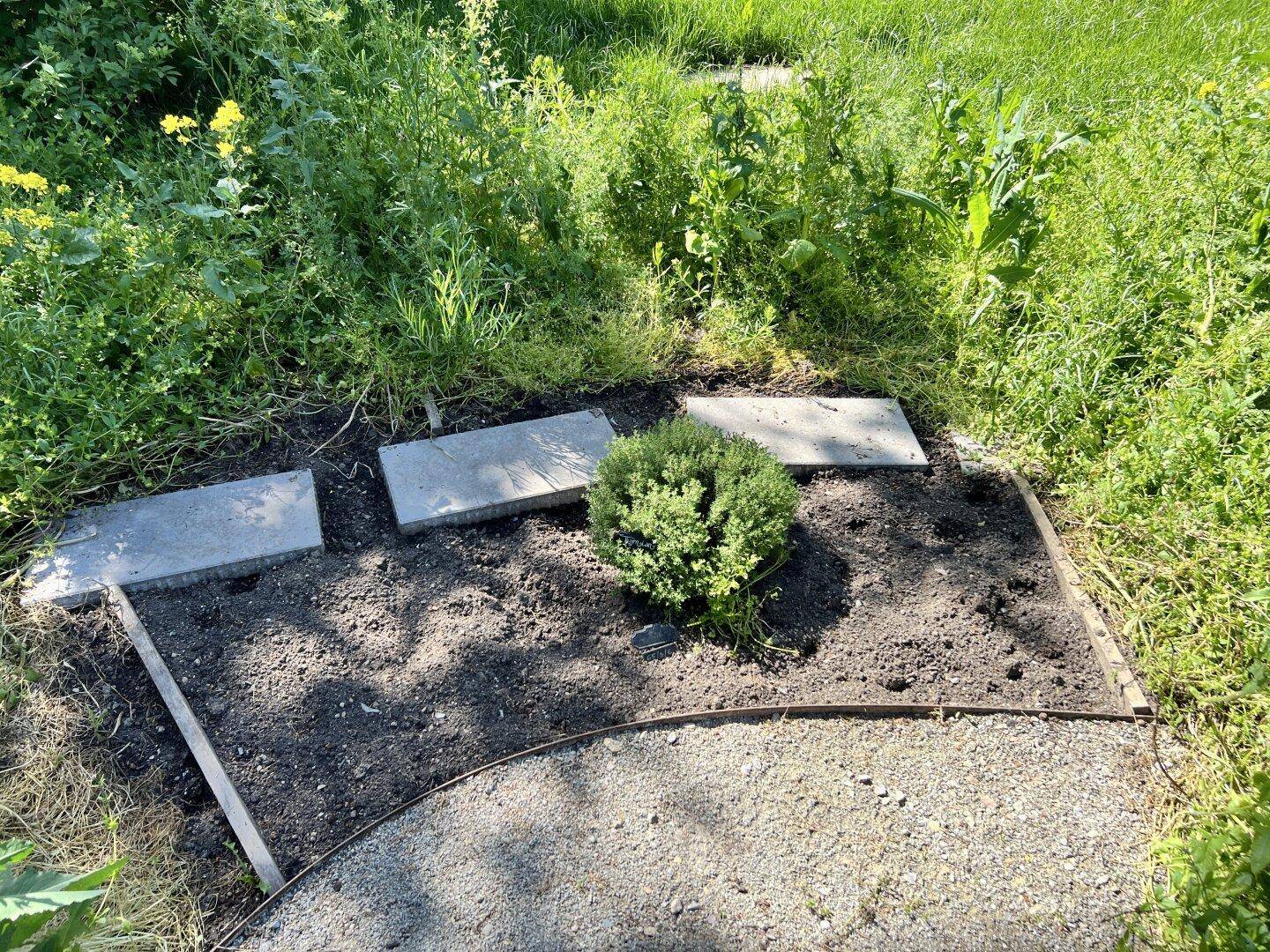 Gartenabteil zum "Garteln"