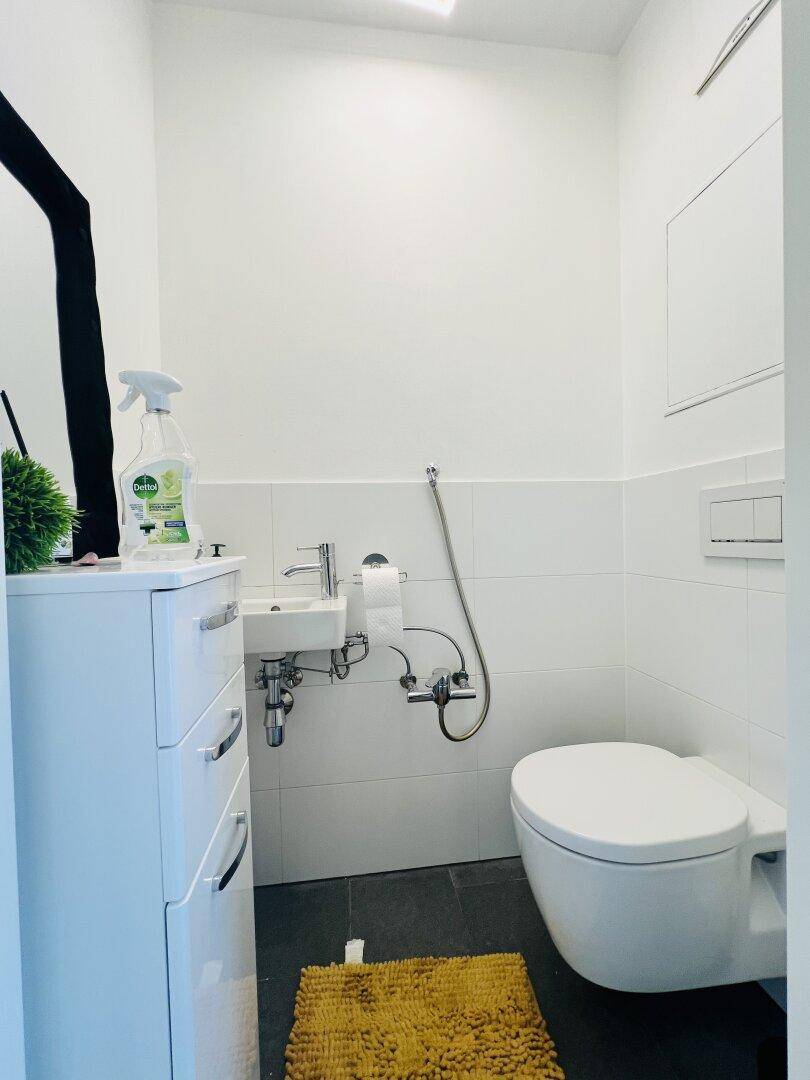 WC mit Handwaschbecken