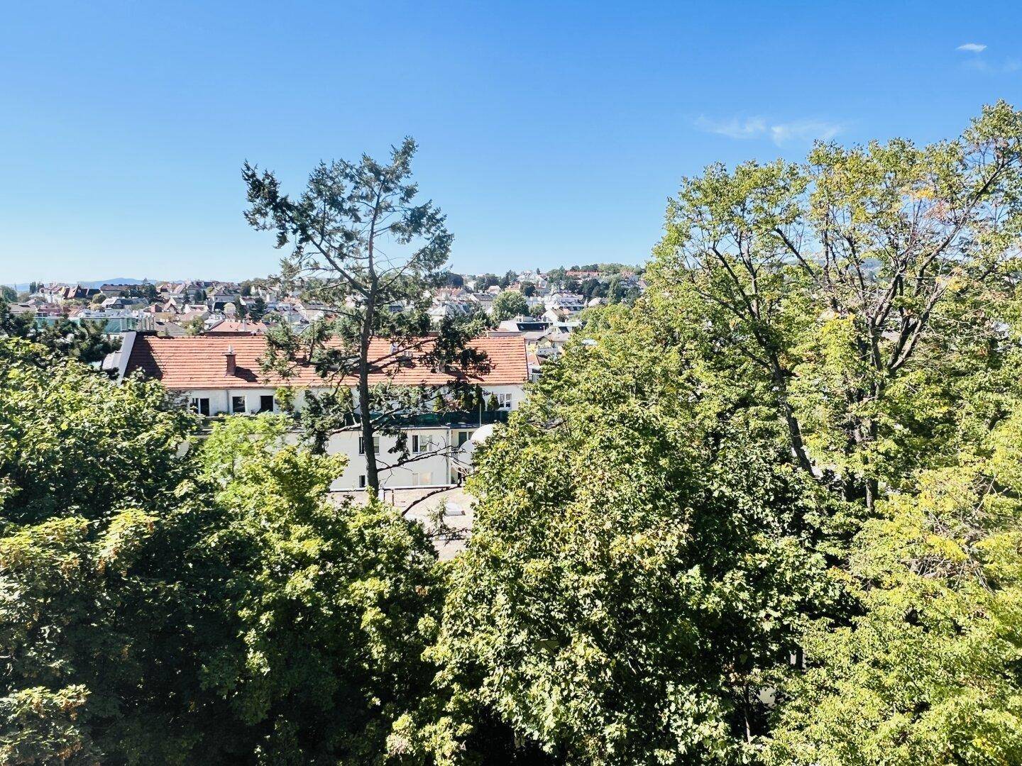 Blick aus dem Wohn- Esszimmer