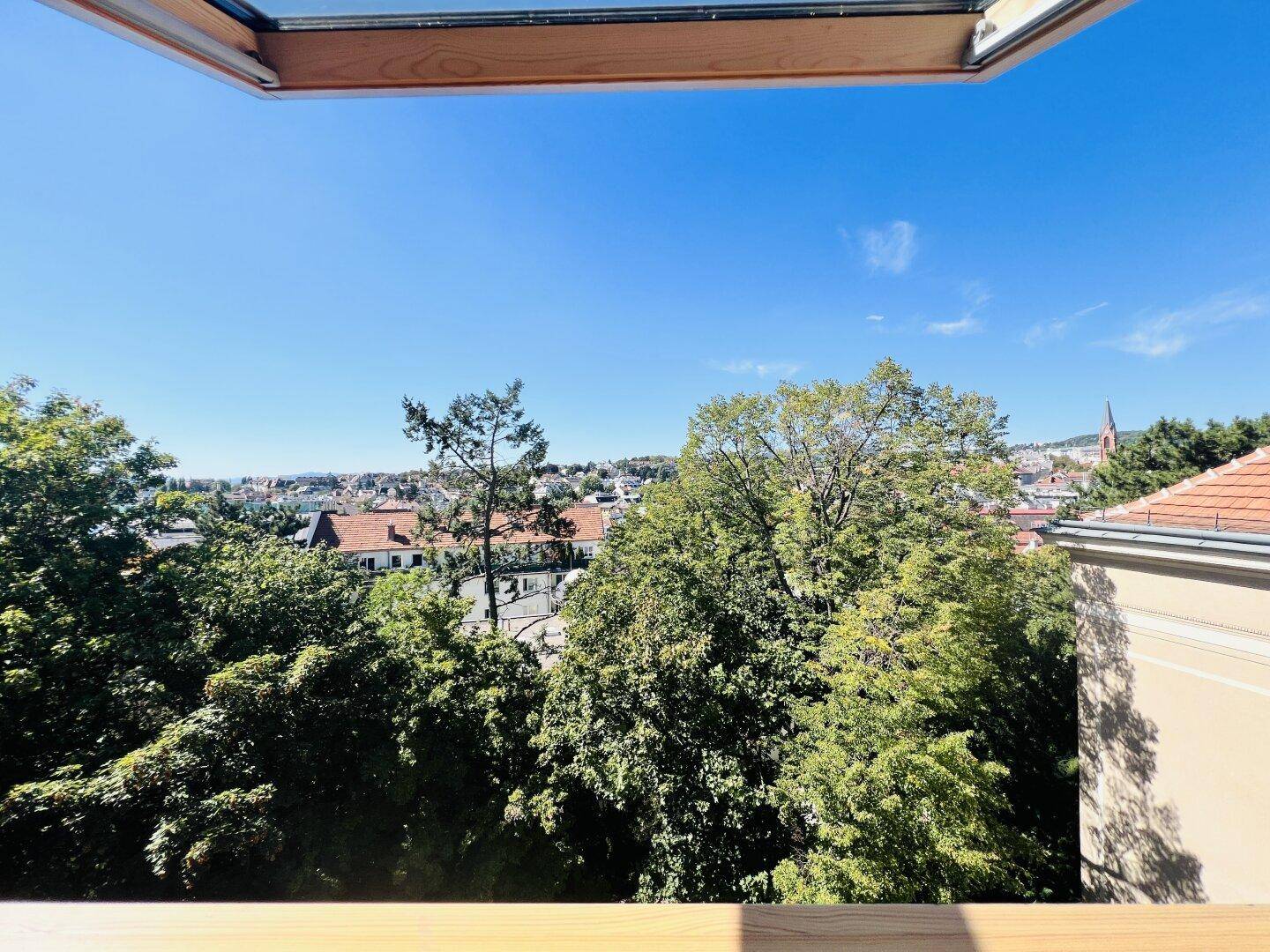 Blick aus dem Wohn- Esszimmer