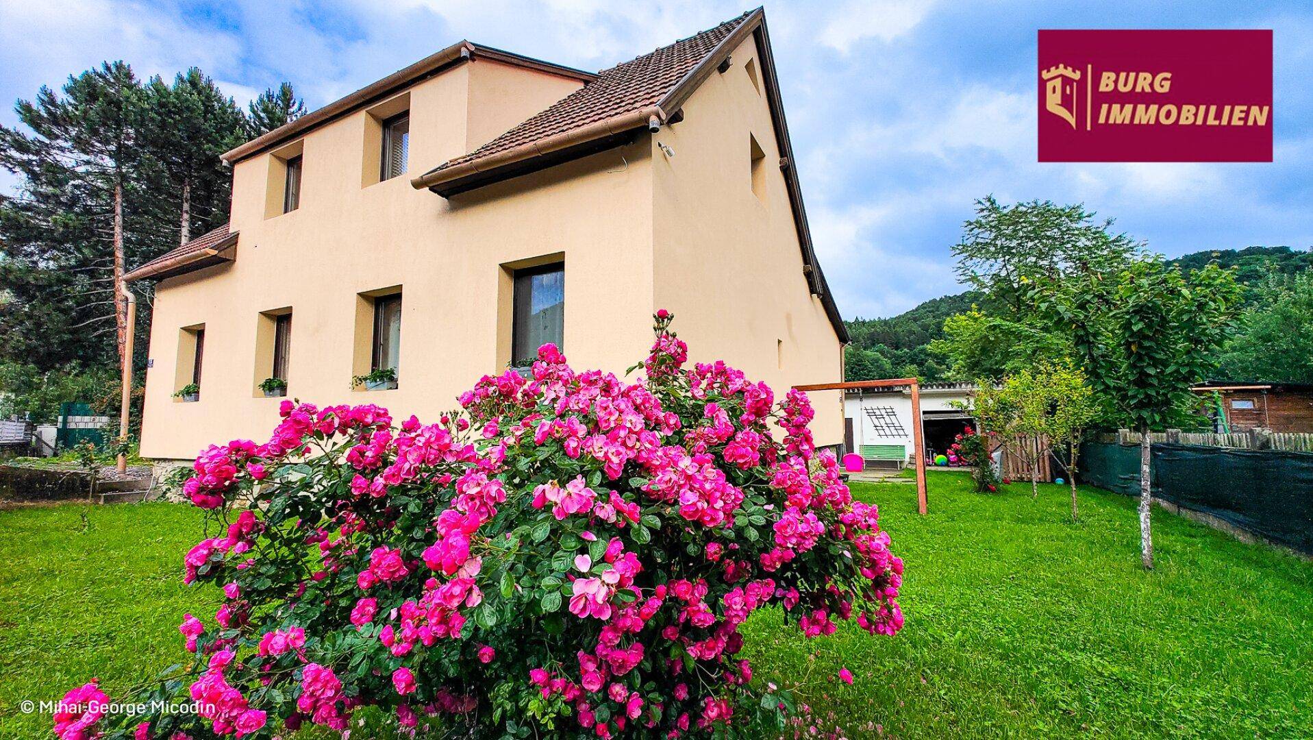 Gepflegter Gartenbereich mit einem blühenden Rosenbusch vor der Hausfassade.