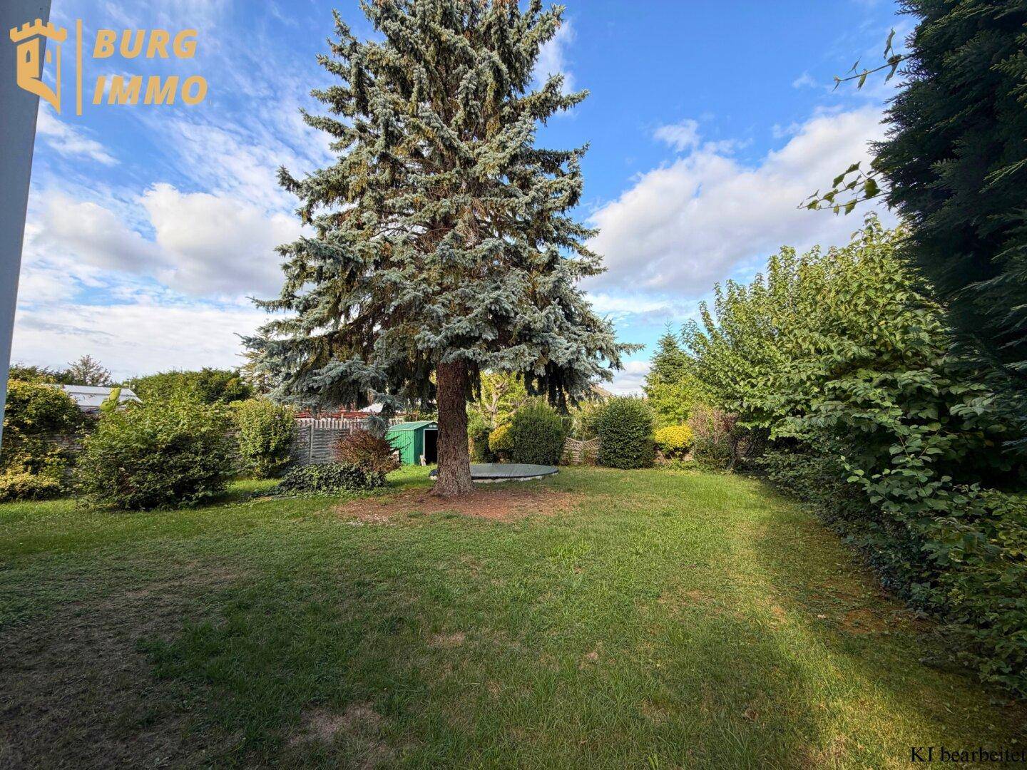 Weitläufiger grüner Garten mit altem Baum und umgebender Hecke unter blauem Himmel.