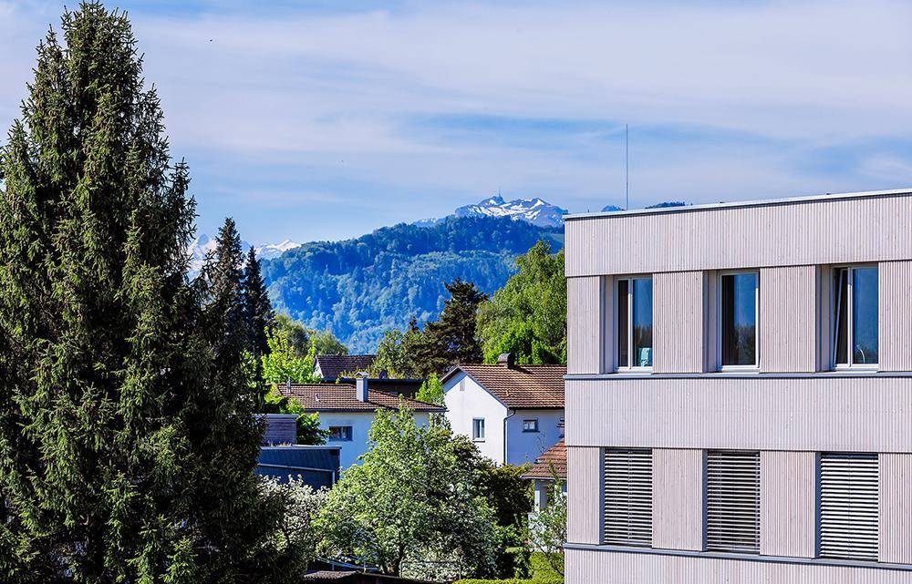 Panoramablick auf bewaldete Hügel und umliegende Häuser unter blauem Himmel.