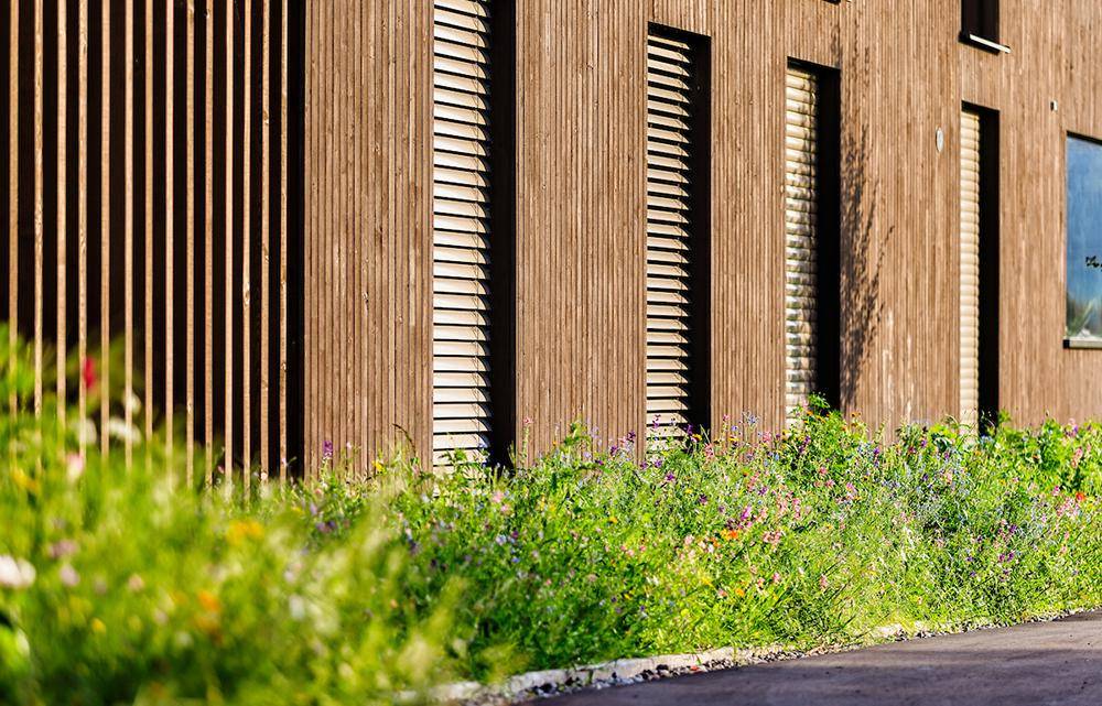 Nahaufnahme der Holzfassade mit Fensterläden und blühenden Pflanzen im Vordergrund.