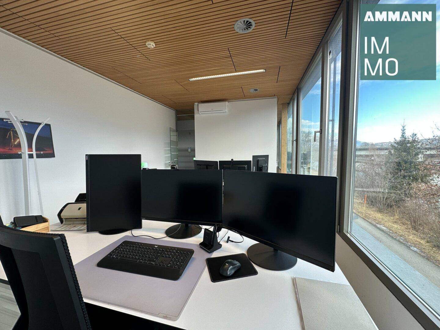 Detailansicht eines modernen Arbeitsplatzes mit mehreren Monitoren und Blick ins Grüne.