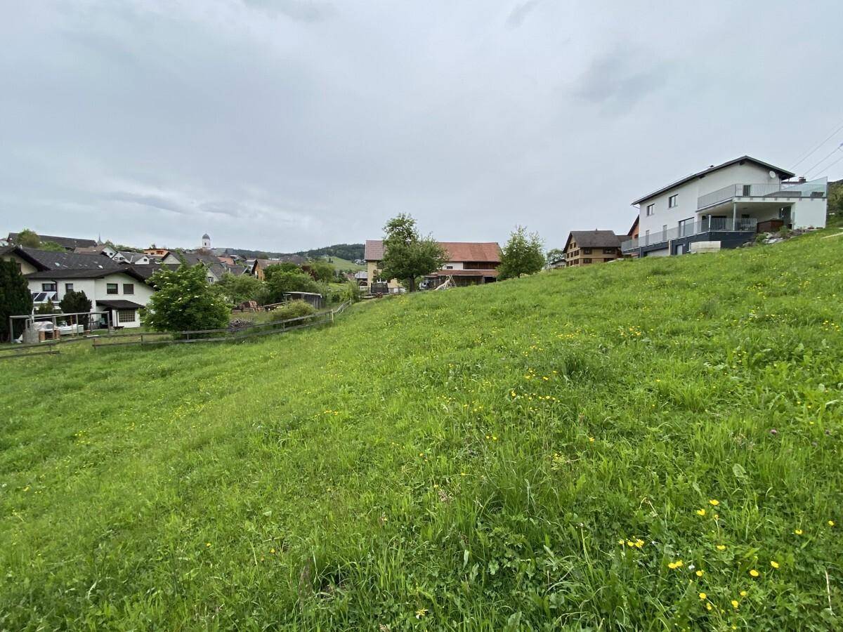 sonniges Hanggrundstück in Göfis zu verkaufen - Ansicht 3