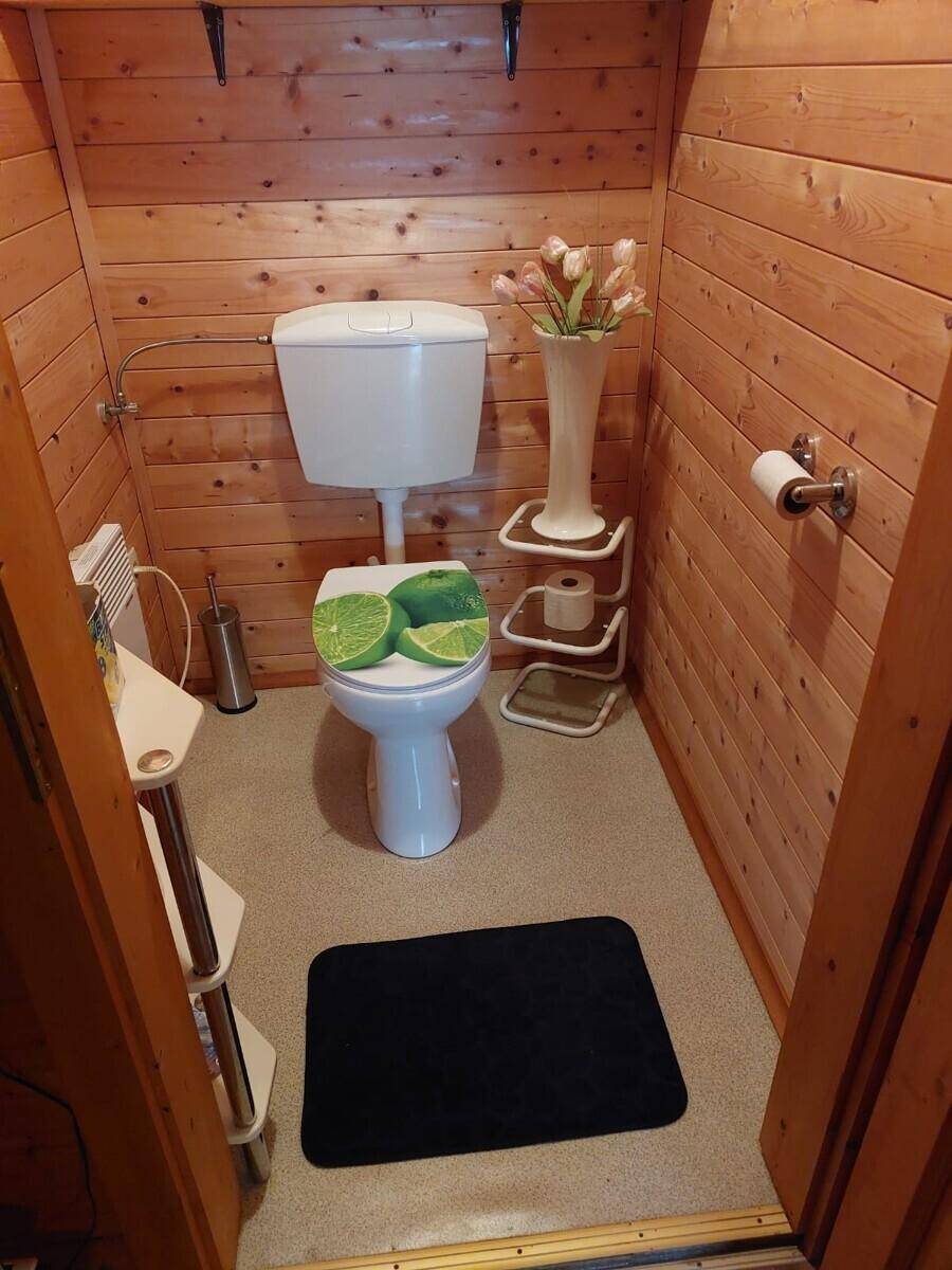 Kleines WC mit Holzvertäfelung, Teppichboden und einer Toilette mit auffälligem Limetten-Sitz.