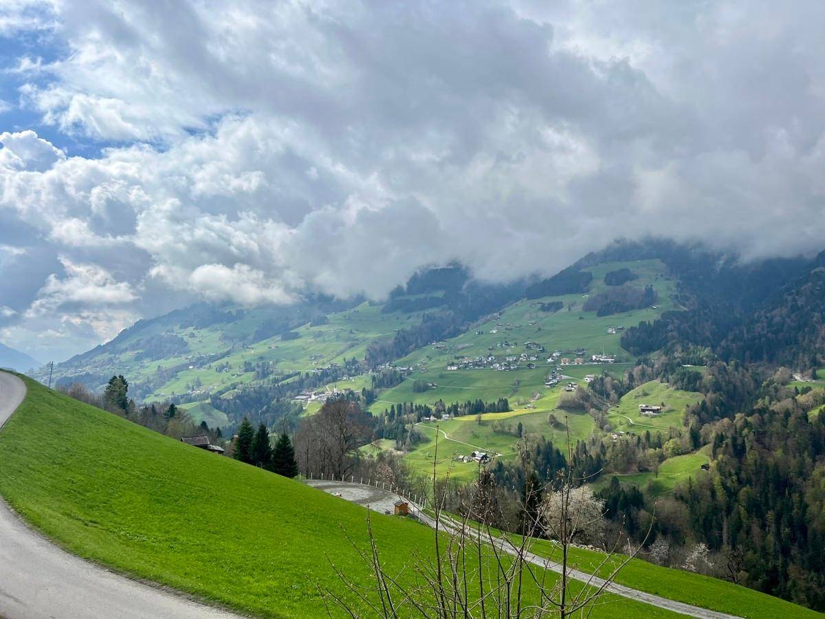 Terrassenaussicht