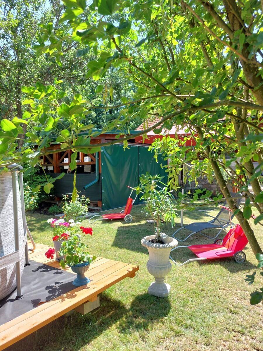 Sonnenverwöhnter Gartenbereich mit grünem Rasen, schattenspendenden Bäumen und bunten Blumen in Töpfen.