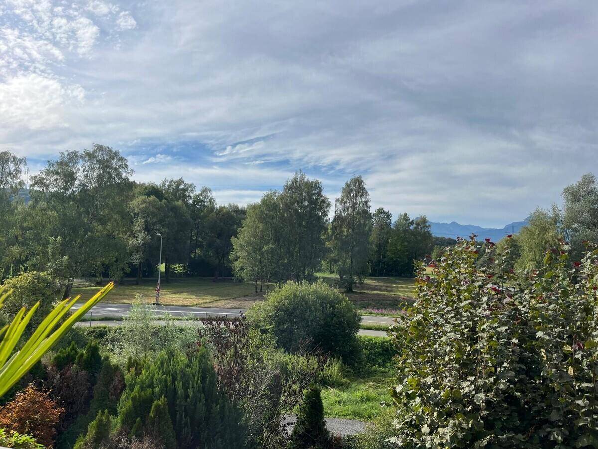 Weitläufiger Blick ins Grüne mit Bäumen und Bergen am Horizont unter einem weiten Himmel.